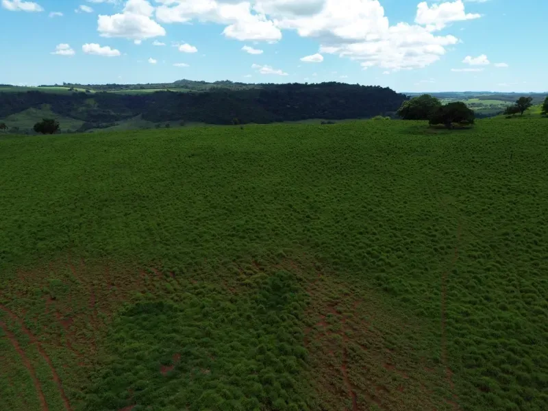 Fazenda em Cajuru/São Paulo — Ref C12VRO — Imagem 36