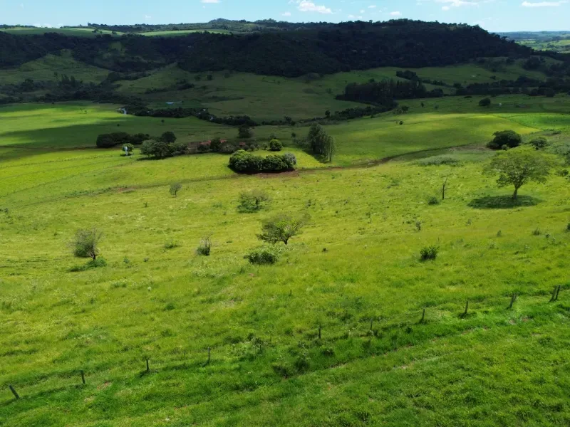 Fazenda em Cajuru/São Paulo — Ref C12VRO — Imagem 16