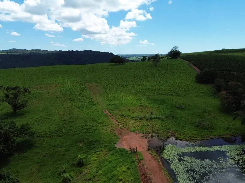 Fazenda em Cajuru/São Paulo — Ref C12VRO — Imagem 38