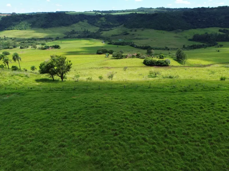 Fazenda em Cajuru/São Paulo — Ref C12VRO — Imagem 39