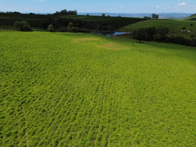 Fazenda em Cajuru/São Paulo — Ref C12VRO — Imagem 14