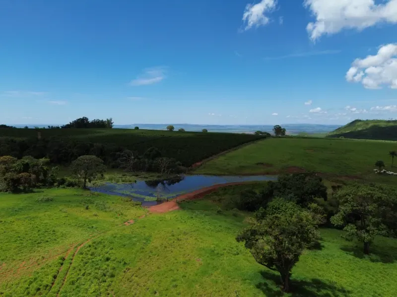 Fazenda em Cajuru/São Paulo — Ref C12VRO — Imagem 40