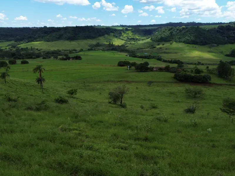 Fazenda em Cajuru/São Paulo — Ref C12VRO — Imagem 41