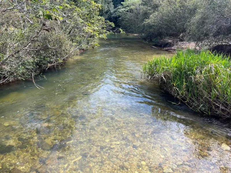 Fazenda em Delfinópolis/Minas Gerais — Ref OMXN7X — Imagem 19