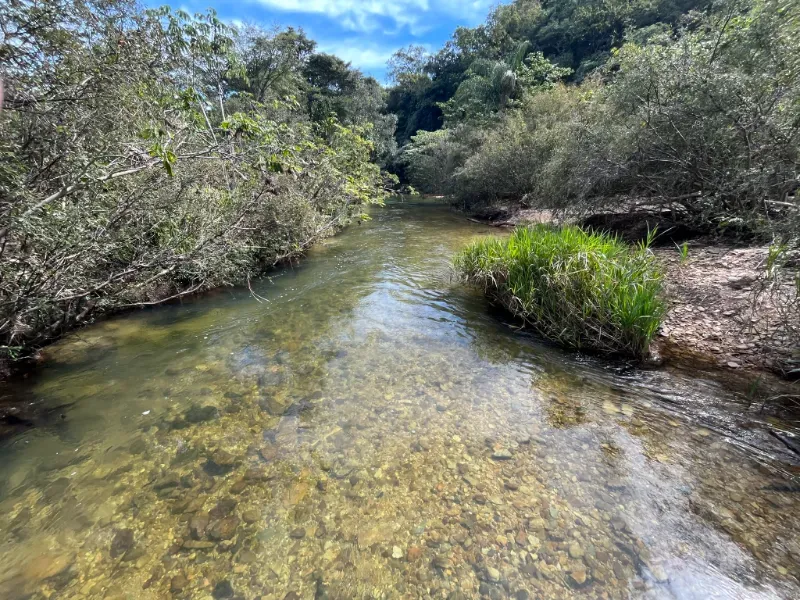 Fazenda em Delfinópolis/Minas Gerais — Ref OMXN7X — Imagem 29