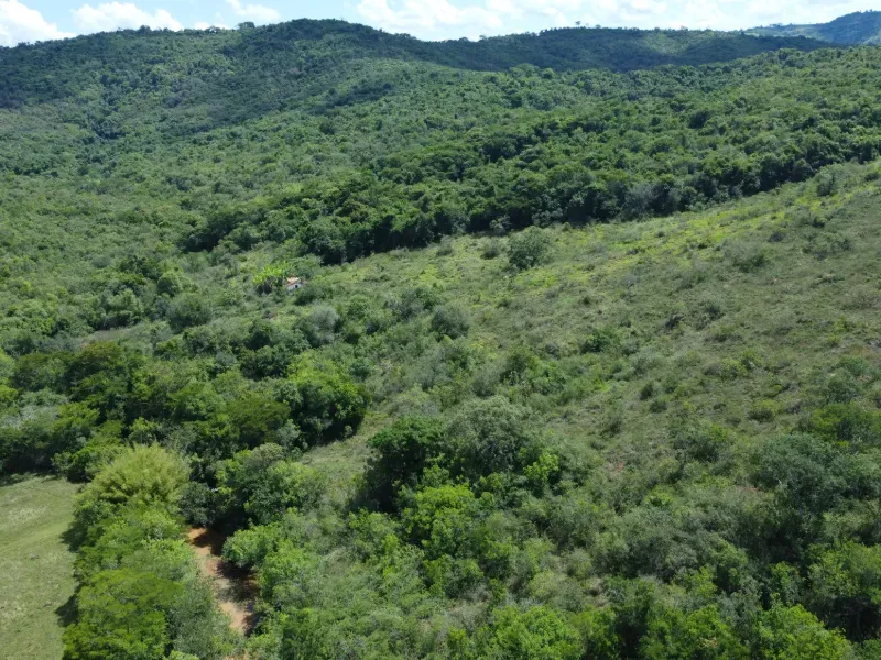 Fazenda em Santo Antônio do Amparo/Minas Gerais — Ref JSG4K7 — Imagem 3