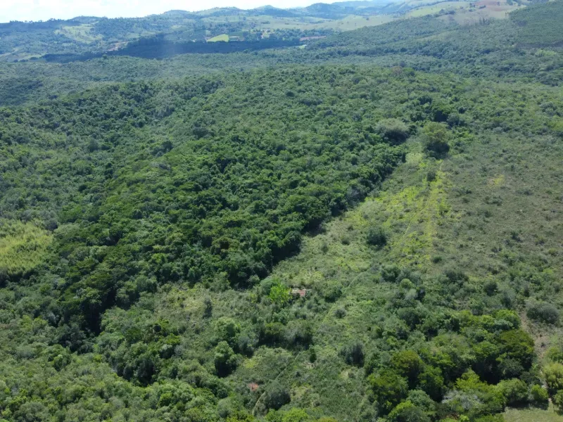 Fazenda em Santo Antônio do Amparo/Minas Gerais — Ref JSG4K7 — Imagem 4