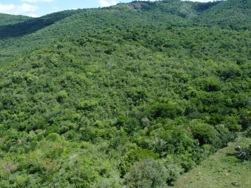 Fazenda em Santo Antônio do Amparo/Minas Gerais — Ref JSG4K7 — Imagem 5