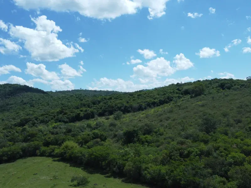 Fazenda em Santo Antônio do Amparo/Minas Gerais — Ref JSG4K7 — Imagem 6