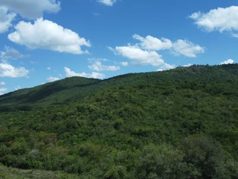 Fazenda em Santo Antônio do Amparo/Minas Gerais — Ref JSG4K7 — Imagem 7
