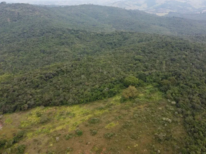 Fazenda em Santo Antônio do Amparo/Minas Gerais — Ref JSG4K7 — Imagem 8