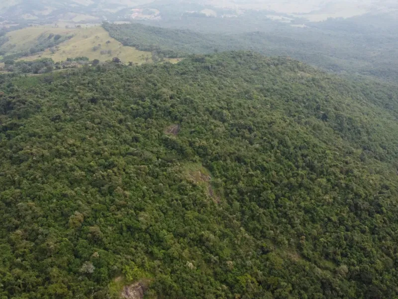 Fazenda em Santo Antônio do Amparo/Minas Gerais — Ref JSG4K7 — Imagem 9