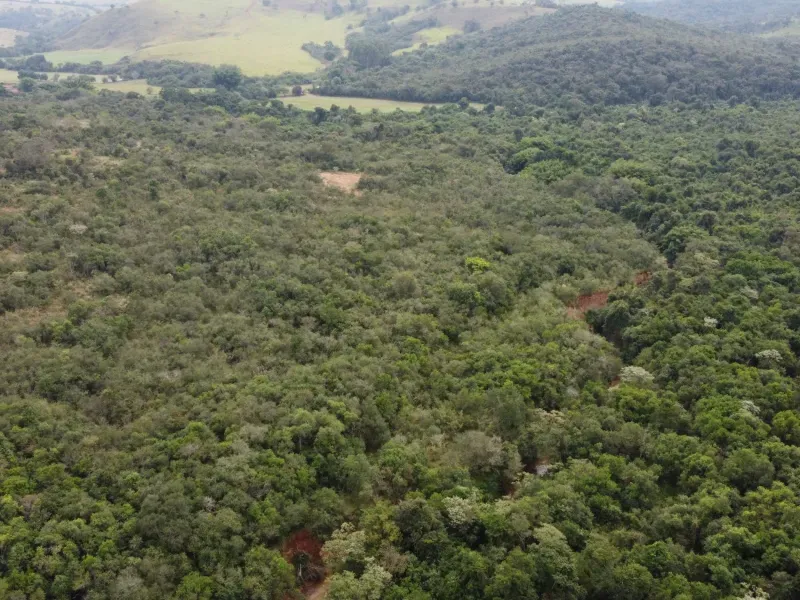 Fazenda em Santo Antônio do Amparo/Minas Gerais — Ref JSG4K7 — Imagem 17