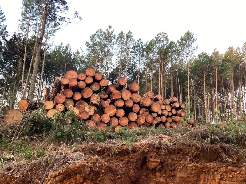 Fazenda em União da Vitória/Paraná — Ref OER8SC — Imagem 4
