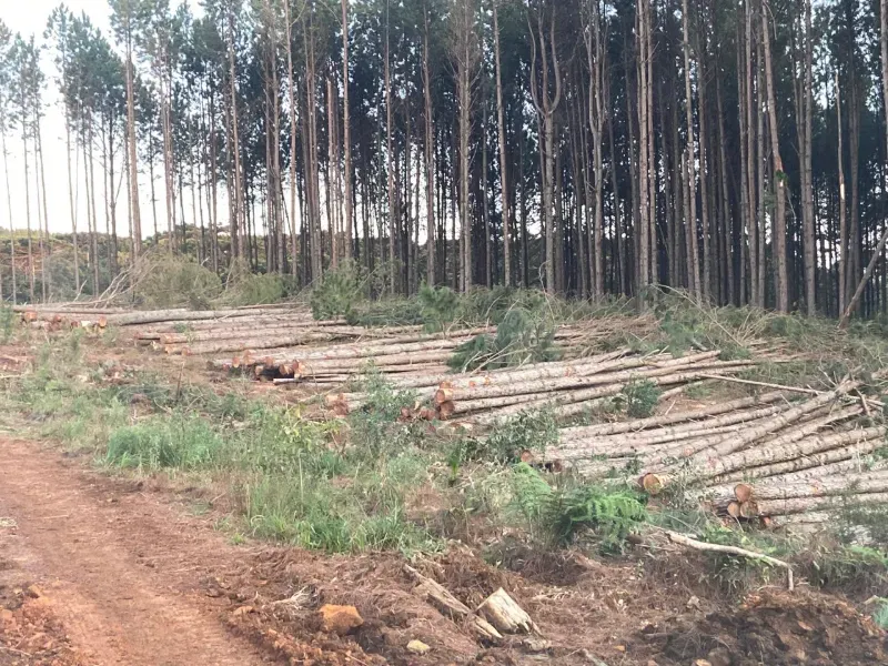 Fazenda em União da Vitória/Paraná — Ref OER8SC — Imagem 9