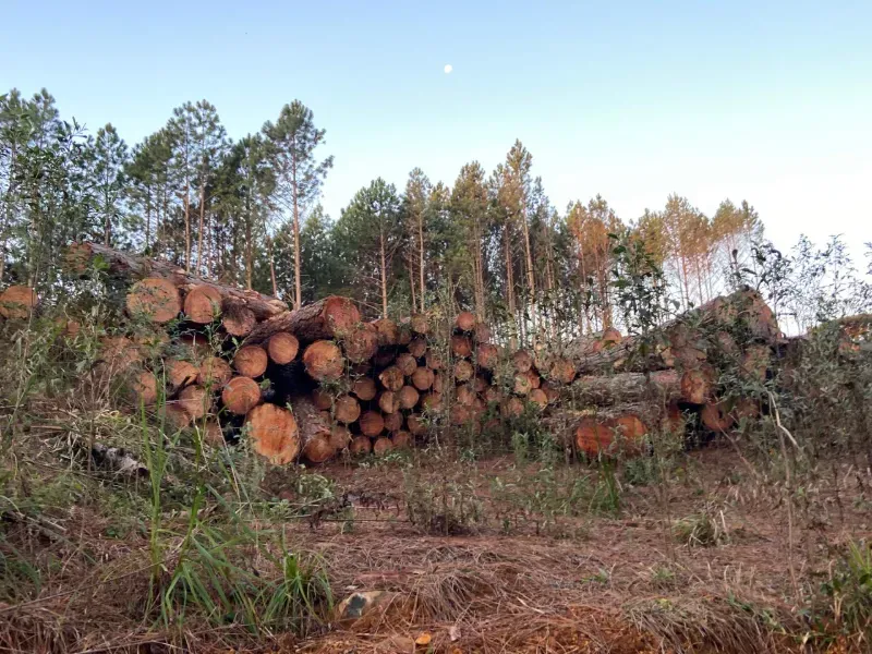 Fazenda em União da Vitória/Paraná — Ref OER8SC — Imagem 6