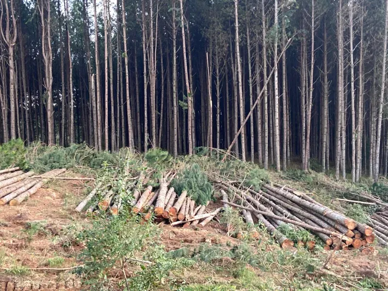 Fazenda em União da Vitória/Paraná — Ref OER8SC — Imagem 10