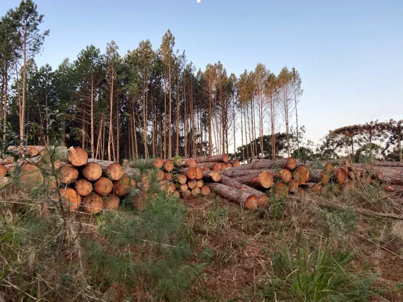 Fazenda em União da Vitória/Paraná — Ref OER8SC — Imagem 5
