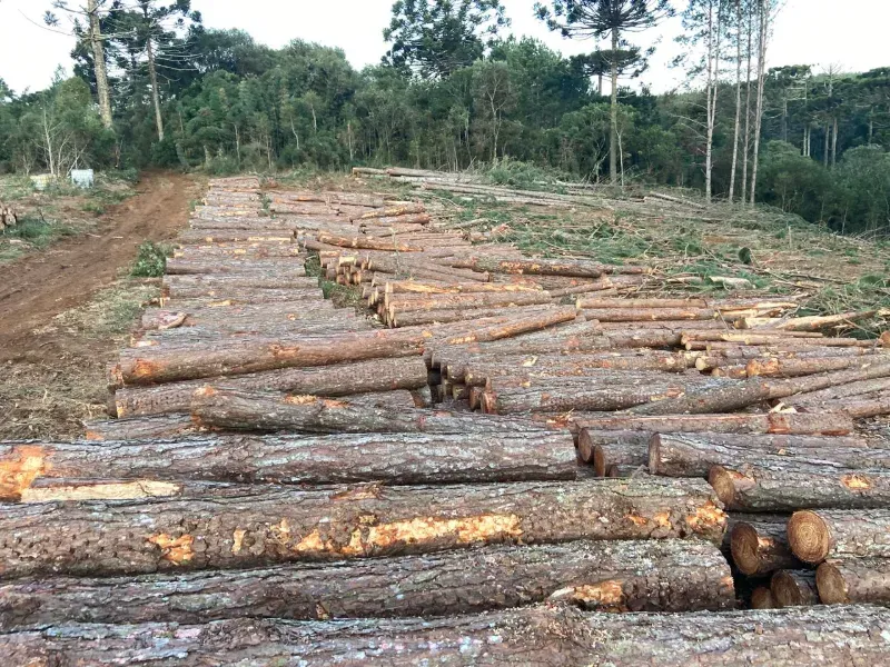 Fazenda em União da Vitória/Paraná — Ref OER8SC — Imagem 7