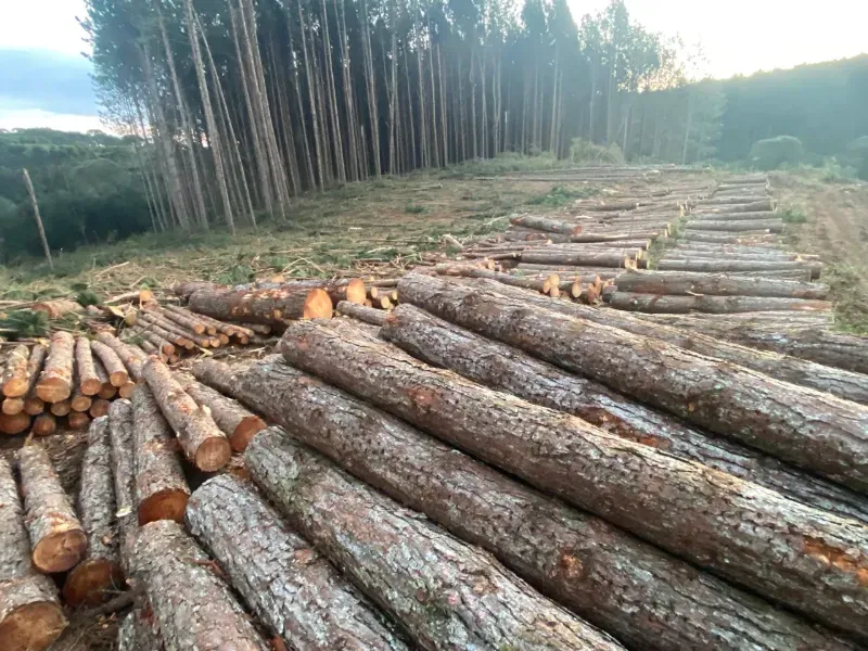 Fazenda em União da Vitória/Paraná — Ref OER8SC — Imagem 8