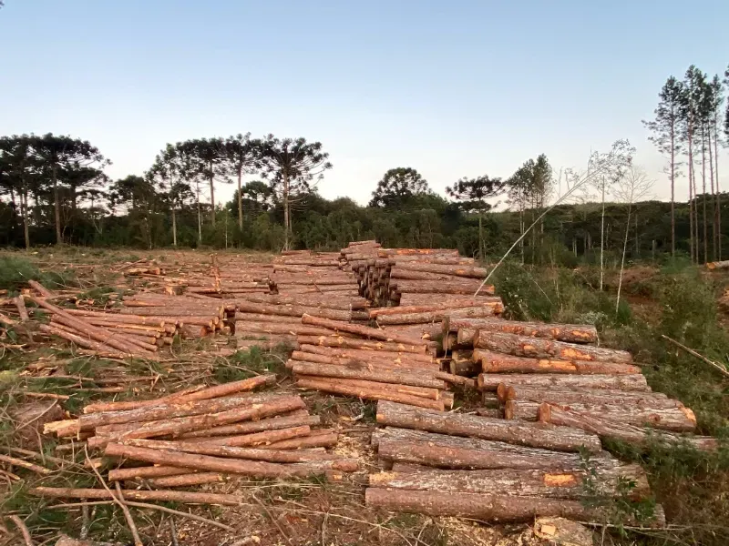 Fazenda em União da Vitória/Paraná — Ref OER8SC — Imagem 3