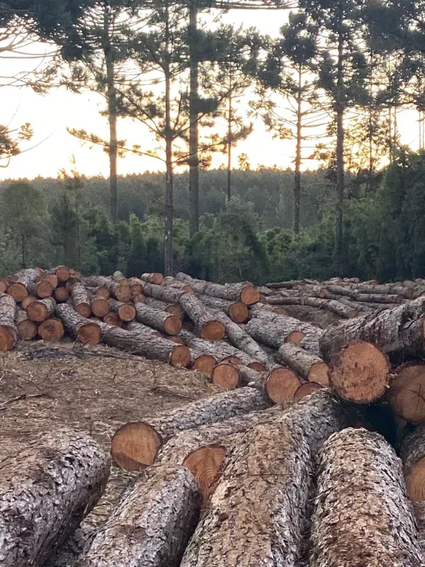 Fazenda em União da Vitória/Paraná — Ref OER8SC — Imagem 2