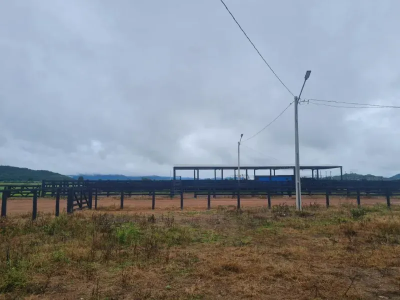 Fazenda em Vila Rica/Mato Grosso — Ref J55DQN — Imagem 4