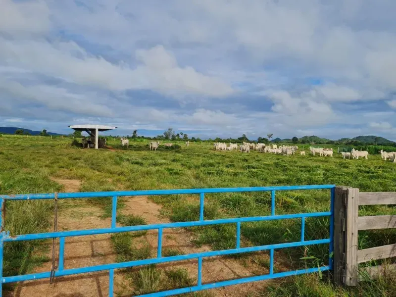 Fazenda em Vila Rica/Mato Grosso — Ref J55DQN — Imagem 1