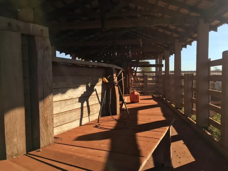 Fazenda em Luciara/Mato Grosso — Ref 78Y6WA — Imagem 10