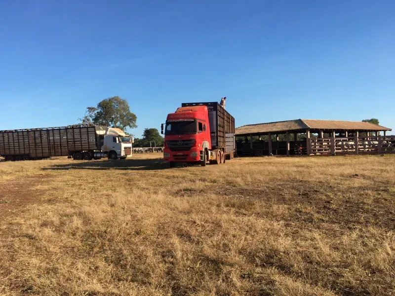 Fazenda em Luciara/Mato Grosso — Ref 78Y6WA — Imagem 3