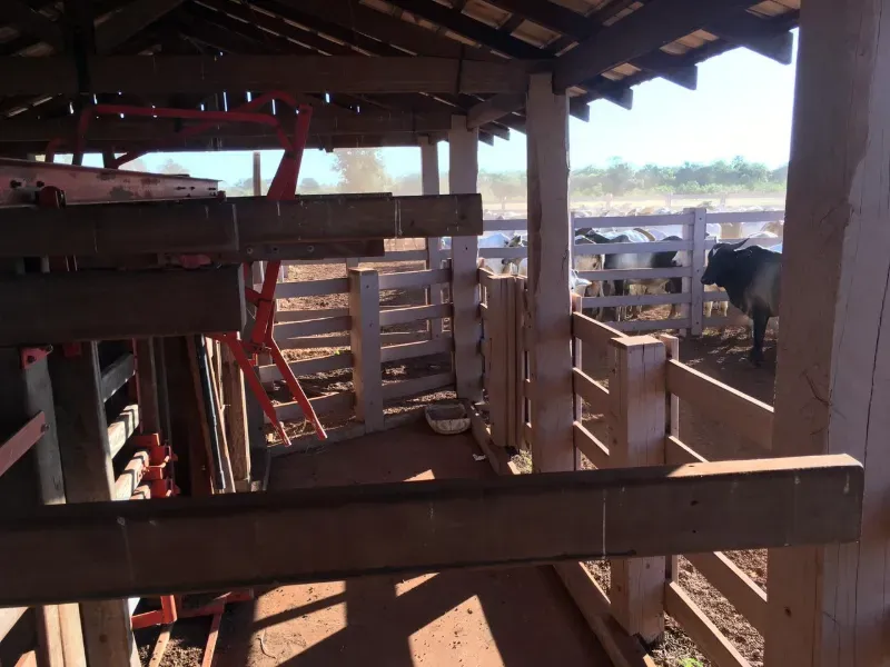 Fazenda em Luciara/Mato Grosso — Ref 78Y6WA — Imagem 12