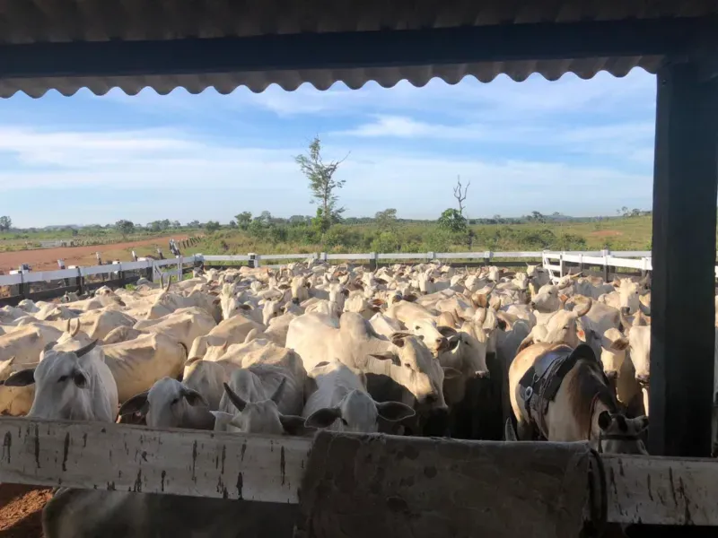 Fazenda em Luciara/Mato Grosso — Ref 78Y6WA — Imagem 5