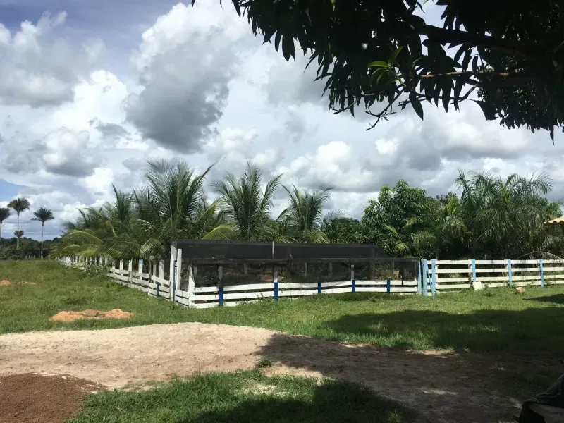 Fazenda em Luciara/Mato Grosso — Ref 78Y6WA — Imagem 24