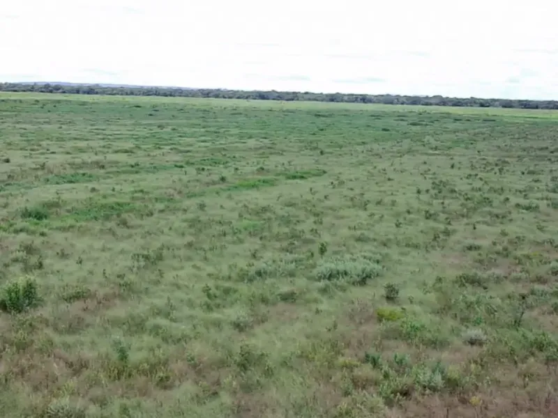 Imóvel rural em João Pinheiro/Minas Gerais — Ref 6UIBF91