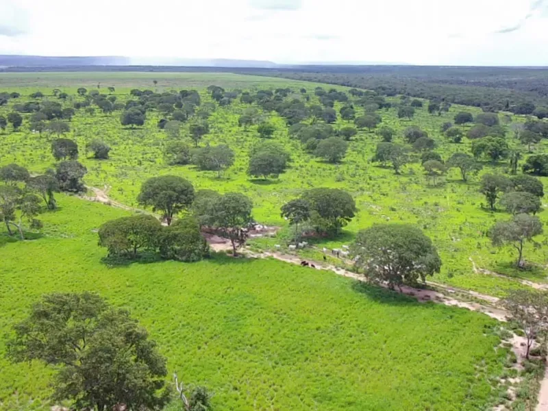 Fazenda em João Pinheiro/Minas Gerais — Ref 6UIBF9 — Imagem 3