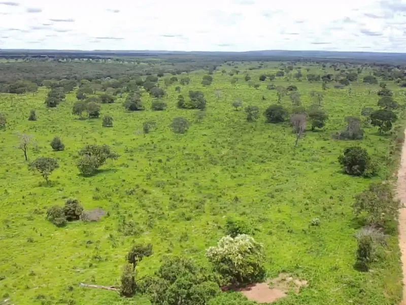 Fazenda em João Pinheiro/Minas Gerais — Ref 6UIBF9 — Imagem 4