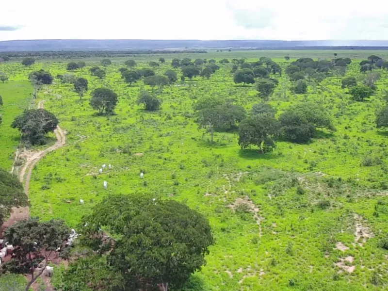Fazenda em João Pinheiro/Minas Gerais — Ref 6UIBF9 — Imagem 7