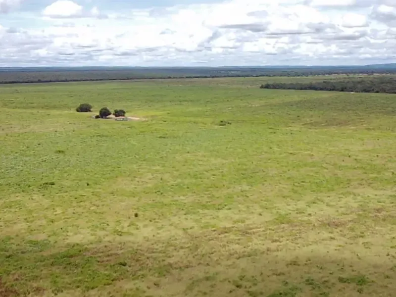 Fazenda em João Pinheiro/Minas Gerais — Ref 6UIBF9 — Imagem 8