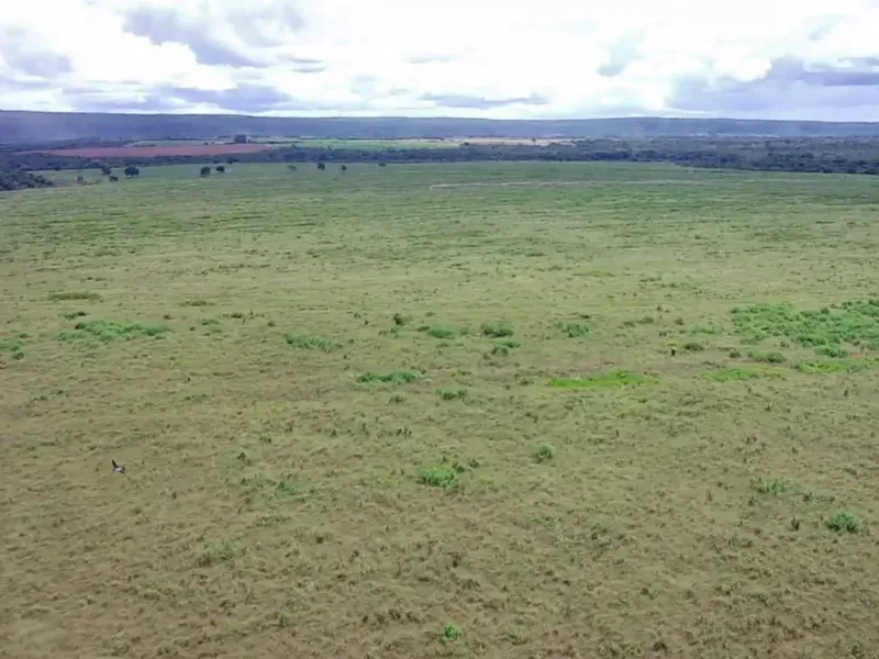 Fazenda em João Pinheiro/Minas Gerais — Ref 6UIBF9 — Imagem 9