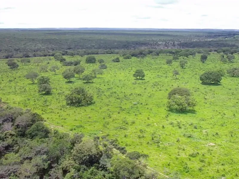 Fazenda em João Pinheiro/Minas Gerais — Ref 6UIBF9 — Imagem 10