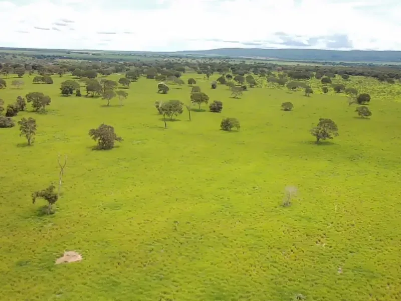 Fazenda em João Pinheiro/Minas Gerais — Ref 6UIBF9 — Imagem 11