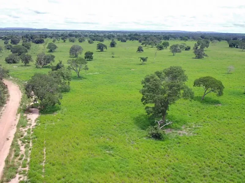 Fazenda em João Pinheiro/Minas Gerais — Ref 6UIBF9 — Imagem 12