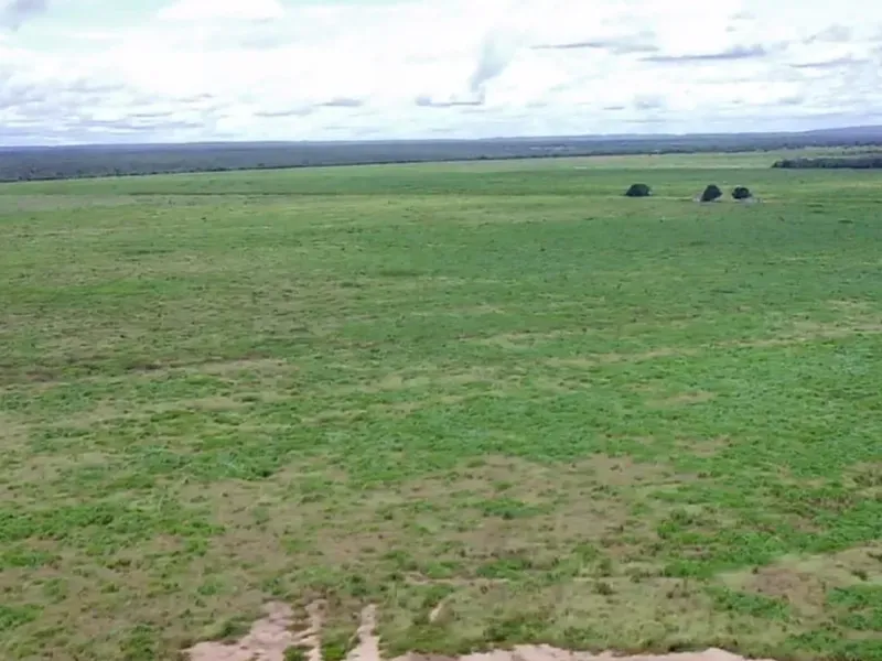 Fazenda em João Pinheiro/Minas Gerais — Ref 6UIBF9 — Imagem 13