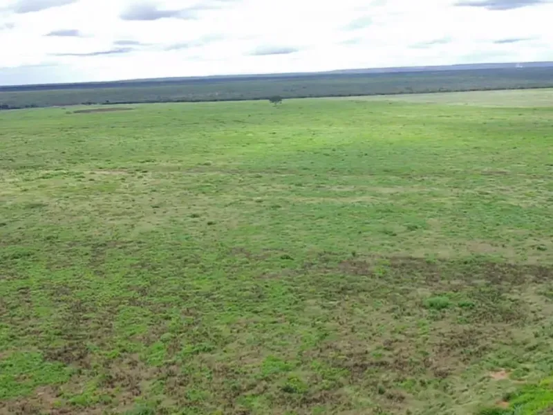 Fazenda em João Pinheiro/Minas Gerais — Ref 6UIBF9 — Imagem 14