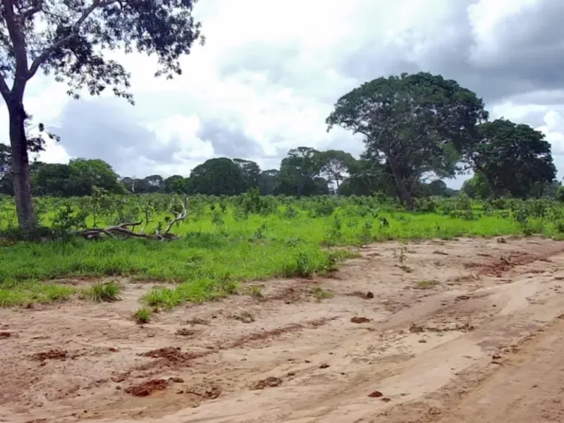 Fazenda em João Pinheiro/Minas Gerais — Ref 6UIBF9 — Imagem 17