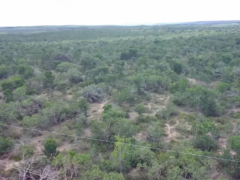 Fazenda em Januária/Minas Gerais — Ref WCD69D — Imagem 2