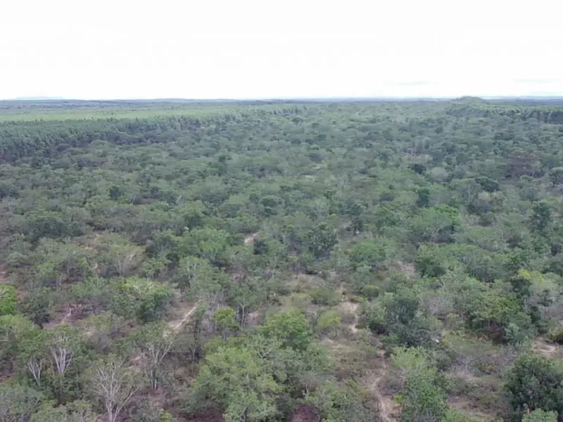 Fazenda em Januária/Minas Gerais — Ref WCD69D — Imagem 3
