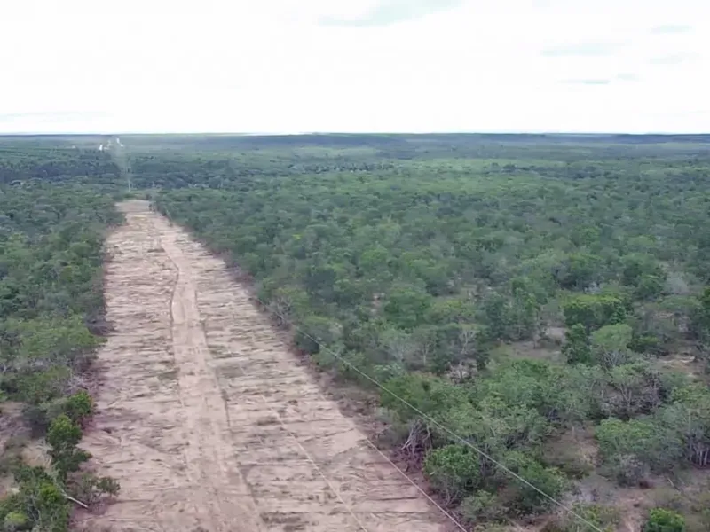 Fazenda em Januária/Minas Gerais — Ref WCD69D — Imagem 5