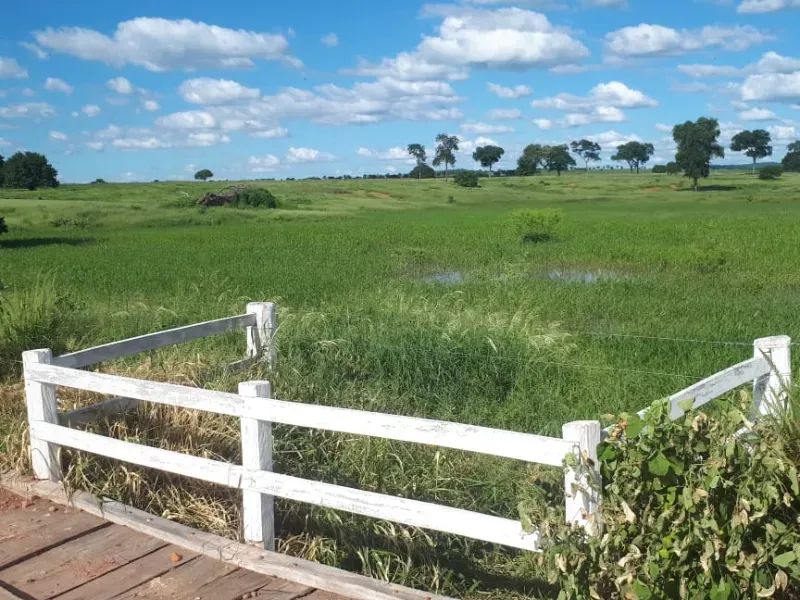 Fazenda em Januária/Minas Gerais — Ref OG8GJC — Imagem 2