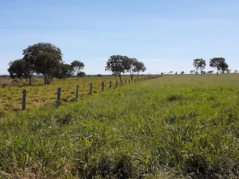 Fazenda em Januária/Minas Gerais — Ref OG8GJC — Imagem 5